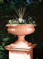 Preview: Fontainebleau Urn - Farbe Terracotta