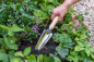 Preview: RHS Weeding Trowel