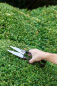 Preview: National Trust Topiary Shears