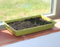 Preview: Bamboo Seed Tray