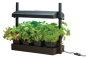 Preview: Micro Grow Light Garden Black