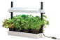 Preview: Micro Grow Light Garden White