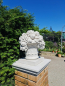 Preview: Large Basket of Fruit - Farbe Portland