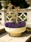 Preview: Romanesque Bowl - Farbe Bath