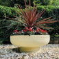 Preview: Romanesque Bowl - Farbe Bath