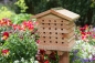 Preview: Solitary Bee Hive