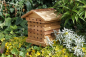 Preview: Solitary Bee Hive