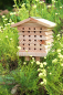 Preview: Solitary Bee Hive