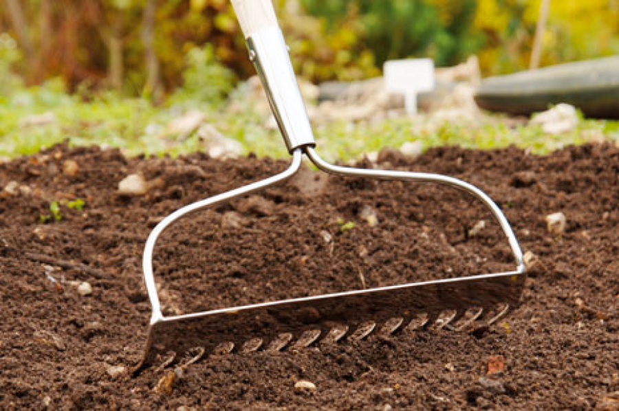 Ground Rake