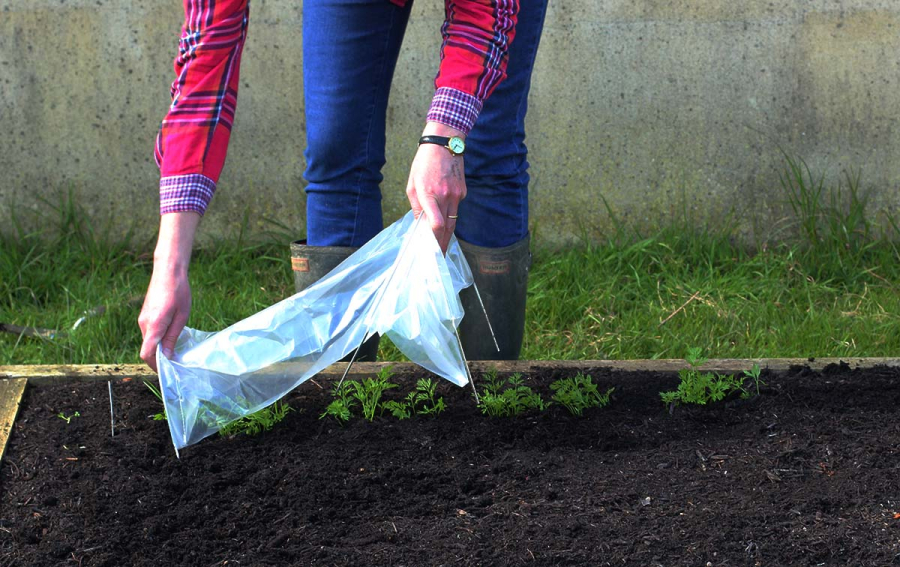 Easy Seedling Tunnel