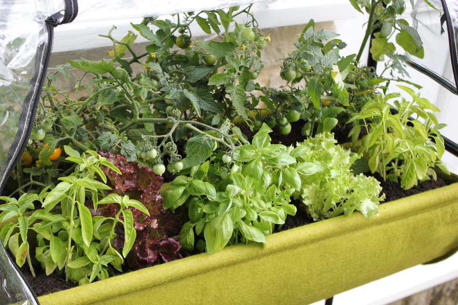 Vigoroot Easy Table Garden