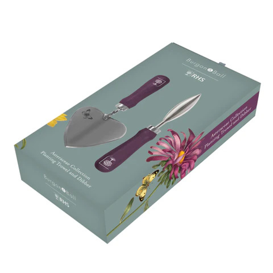 Planting Trowel & Dibber Asteraceae