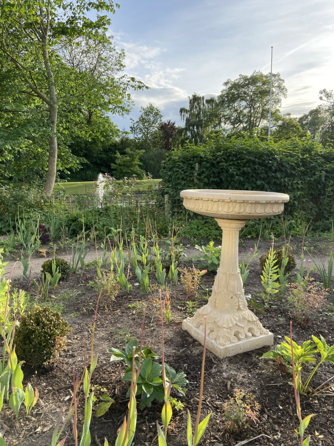 Hazelwood Bird Bath - Farbe Bath