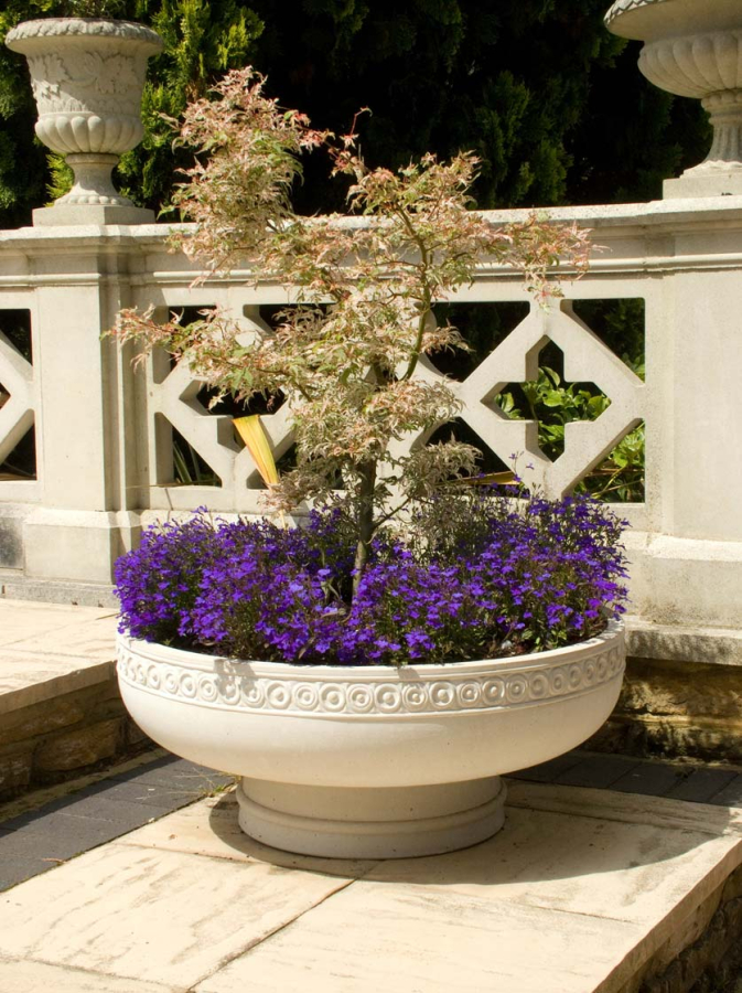 Romanesque Bowl - Farbe Portland