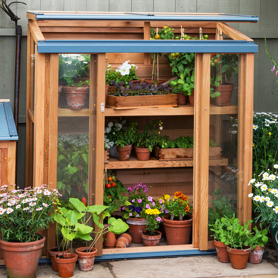 Upright Coldframe