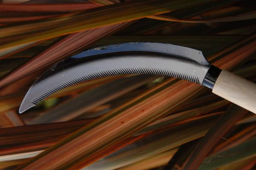 Herbaceous Sickle