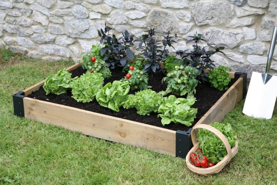 Raised Bed