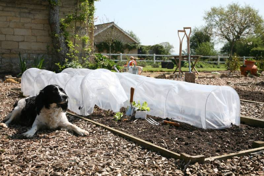 Easy Poly Tunnel