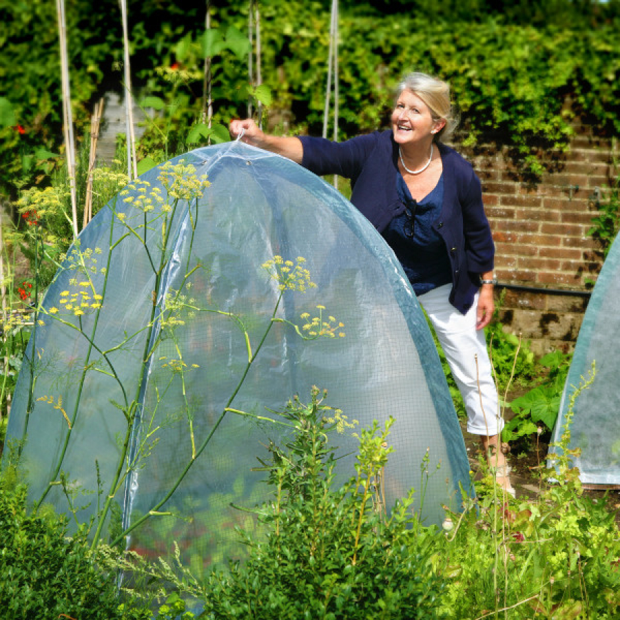 Popadome Greenhouse Cover