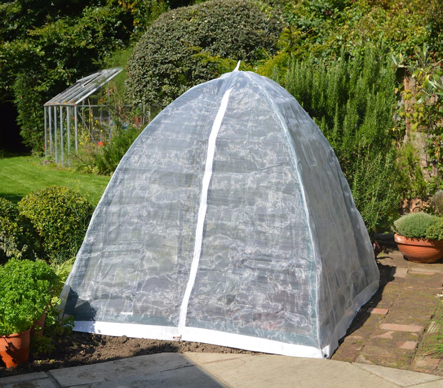 Popadome Insect Cover