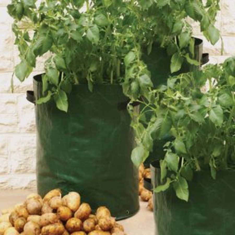 Potato Planter