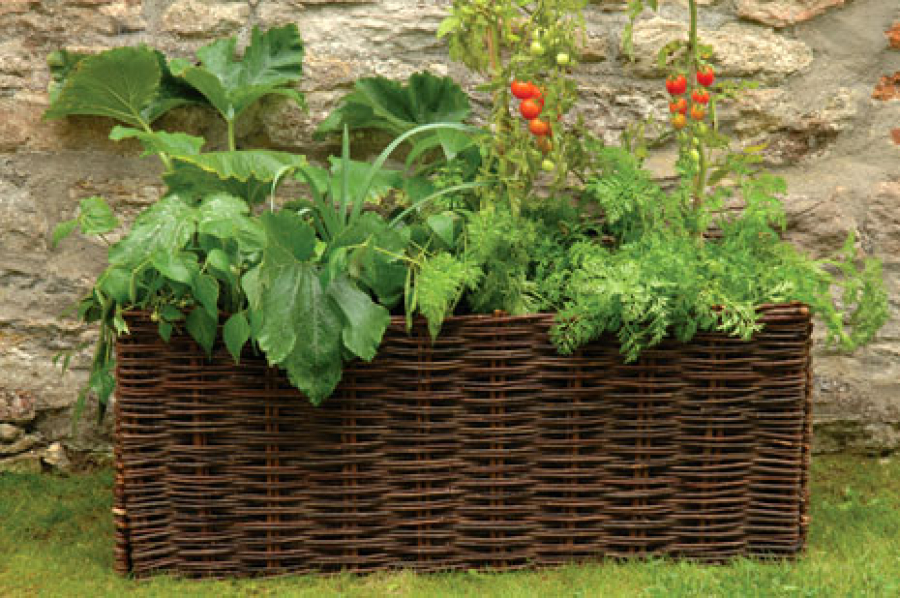 Vegetable & Tomato Planter