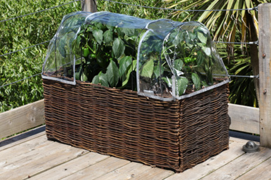 Gewächshausfolie für Salad Planter