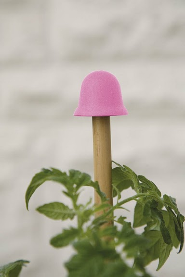 1 Cane Toppers Pink