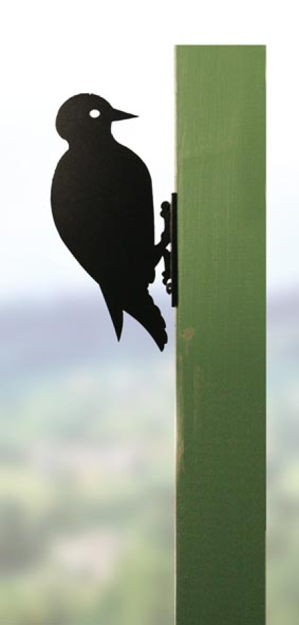 Garden Birds - Woodpecker