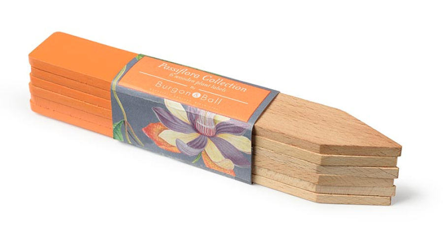 Wooden Plant Labels Passiflora