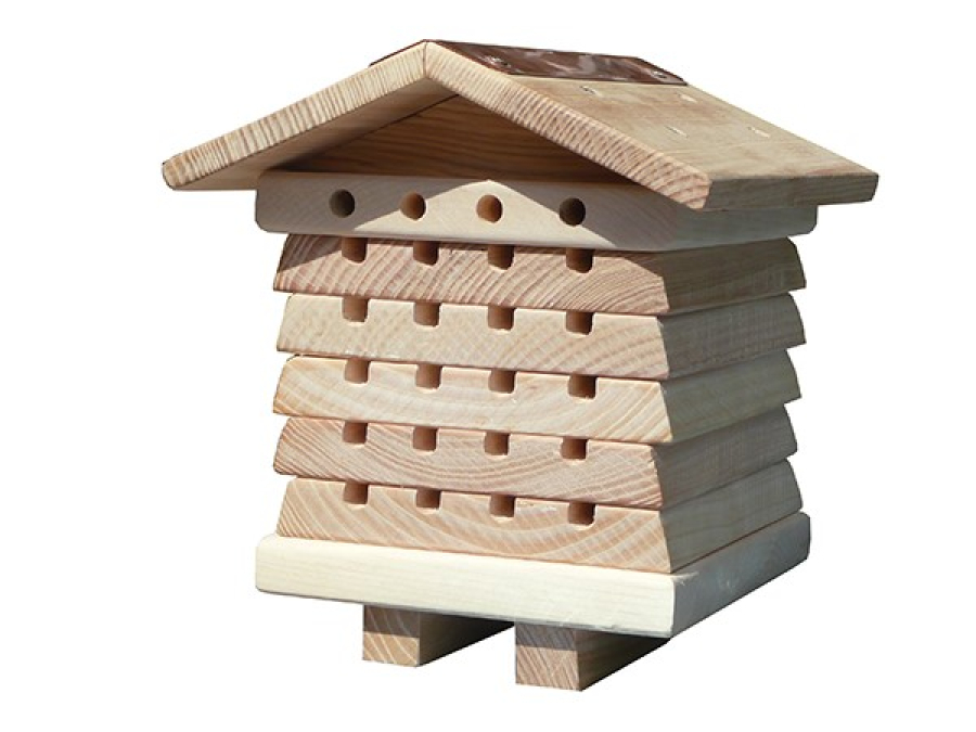 Solitary Bee Hive