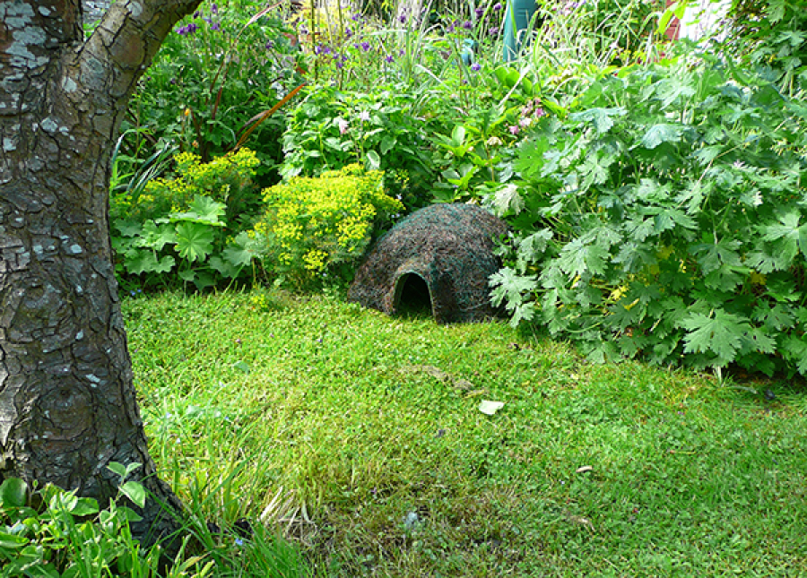 Hedgehog Home