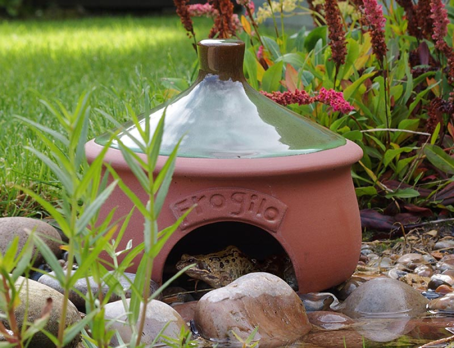 Frogilo Frog House British Garden