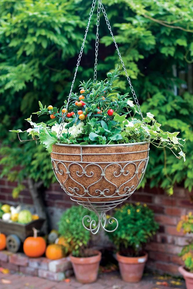 Hanging Basket Heart British Garden