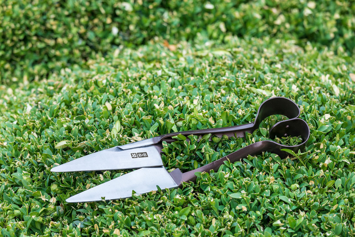 National Trust Topiary Shears