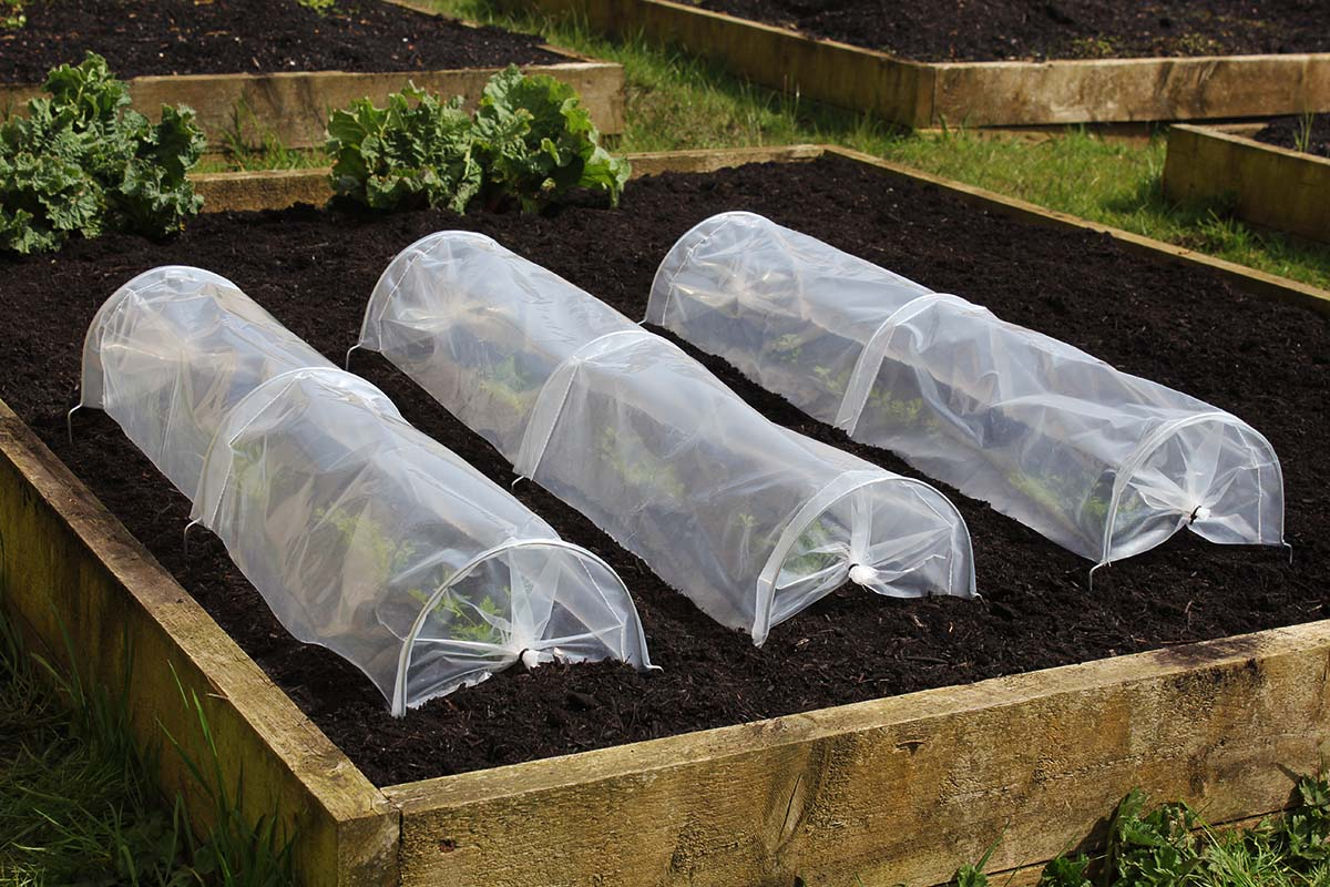 Easy Seedling Tunnel