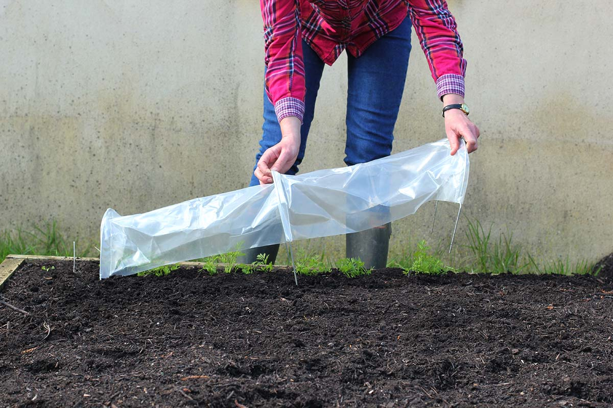 Easy Seedling Tunnel