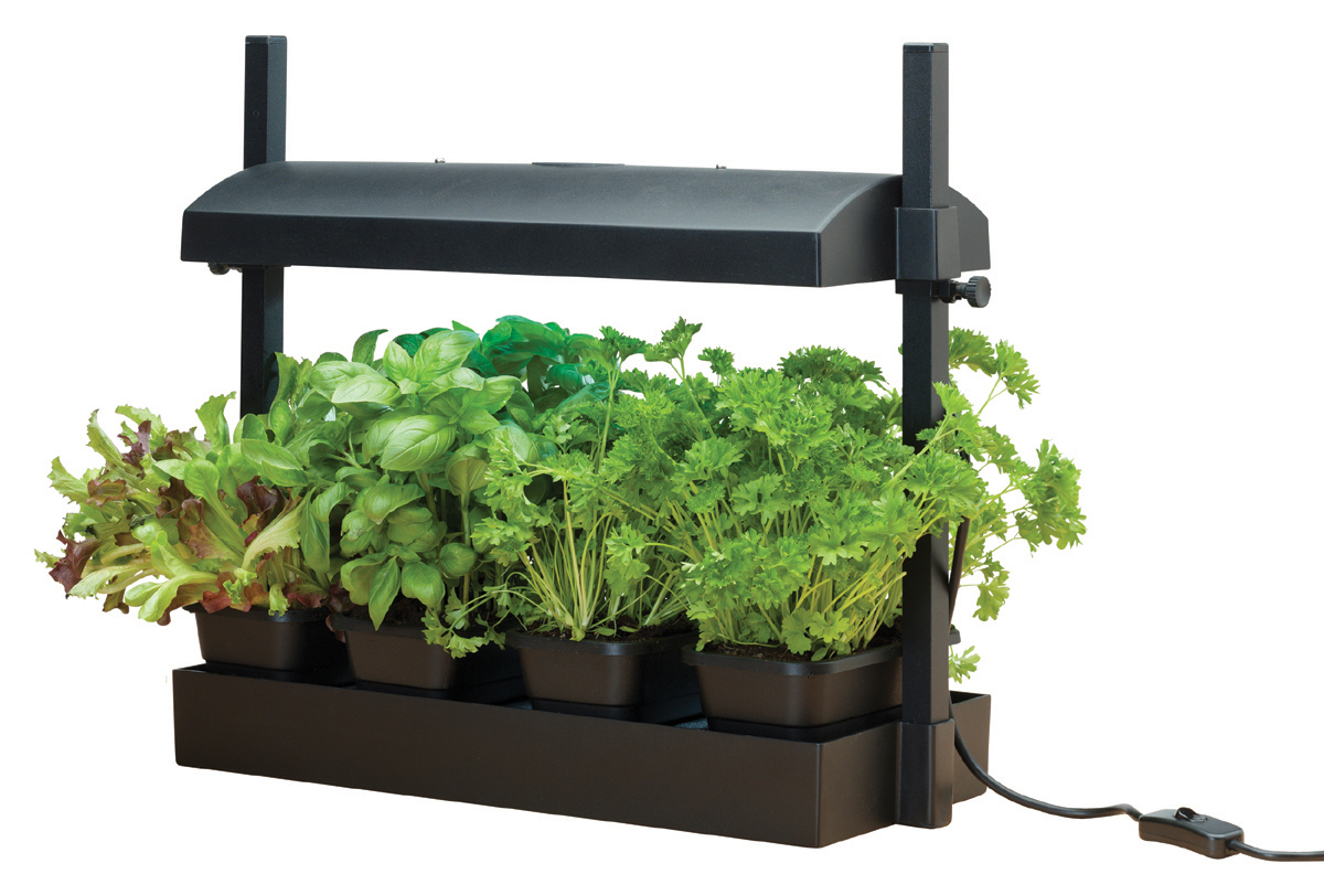 Micro Grow Light Garden Black