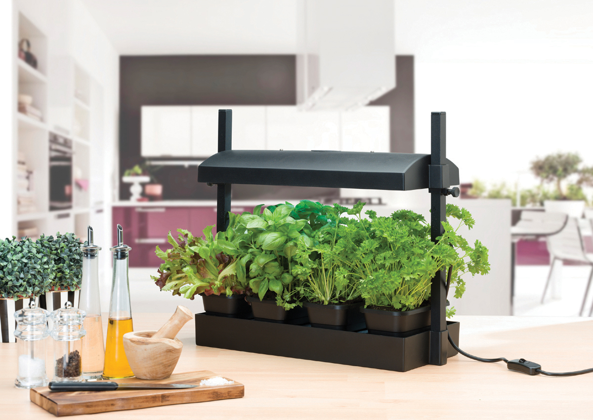 Micro Grow Light Garden Black