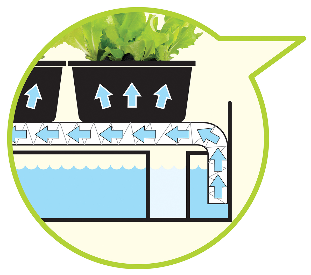 Micro Grow Light Garden - Kapillar-Bewässerung