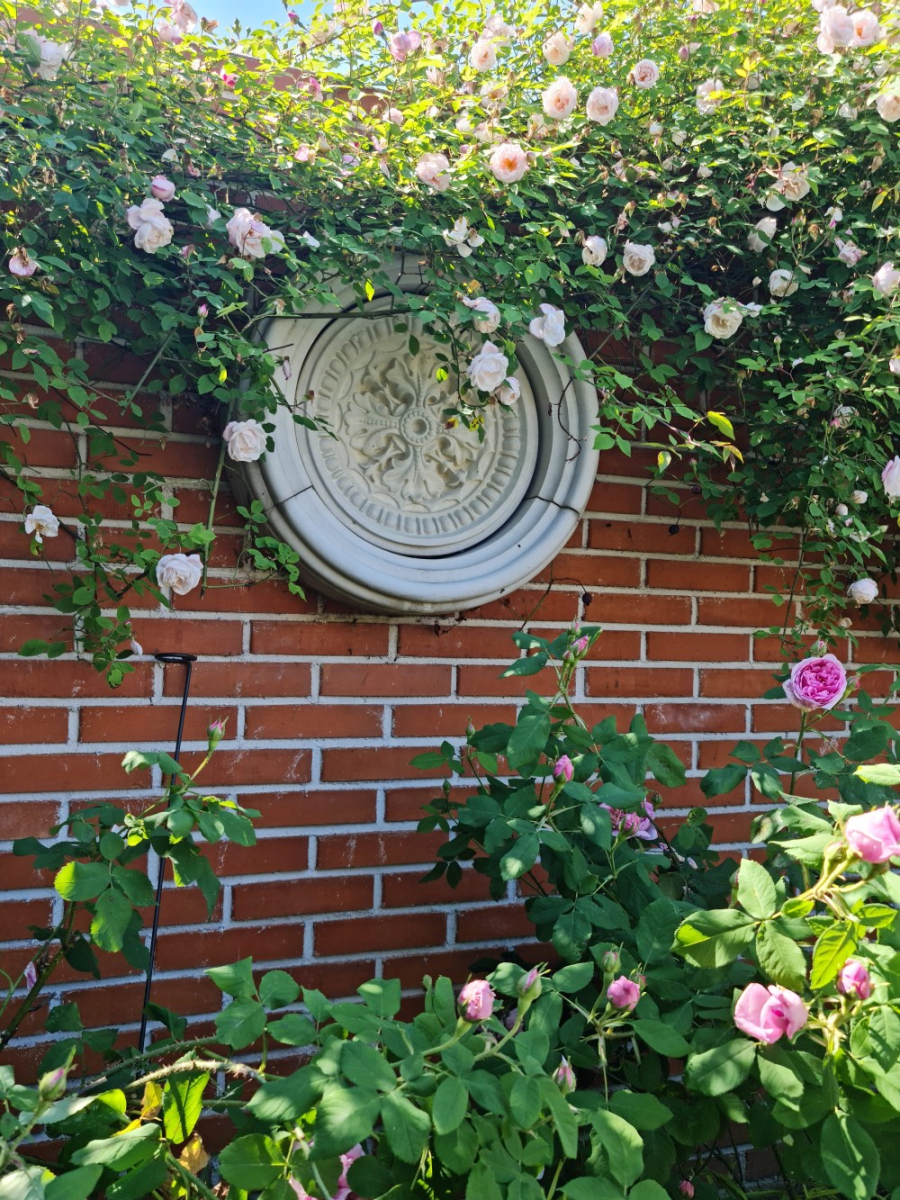 Gothic Roundel - Farbe Portland