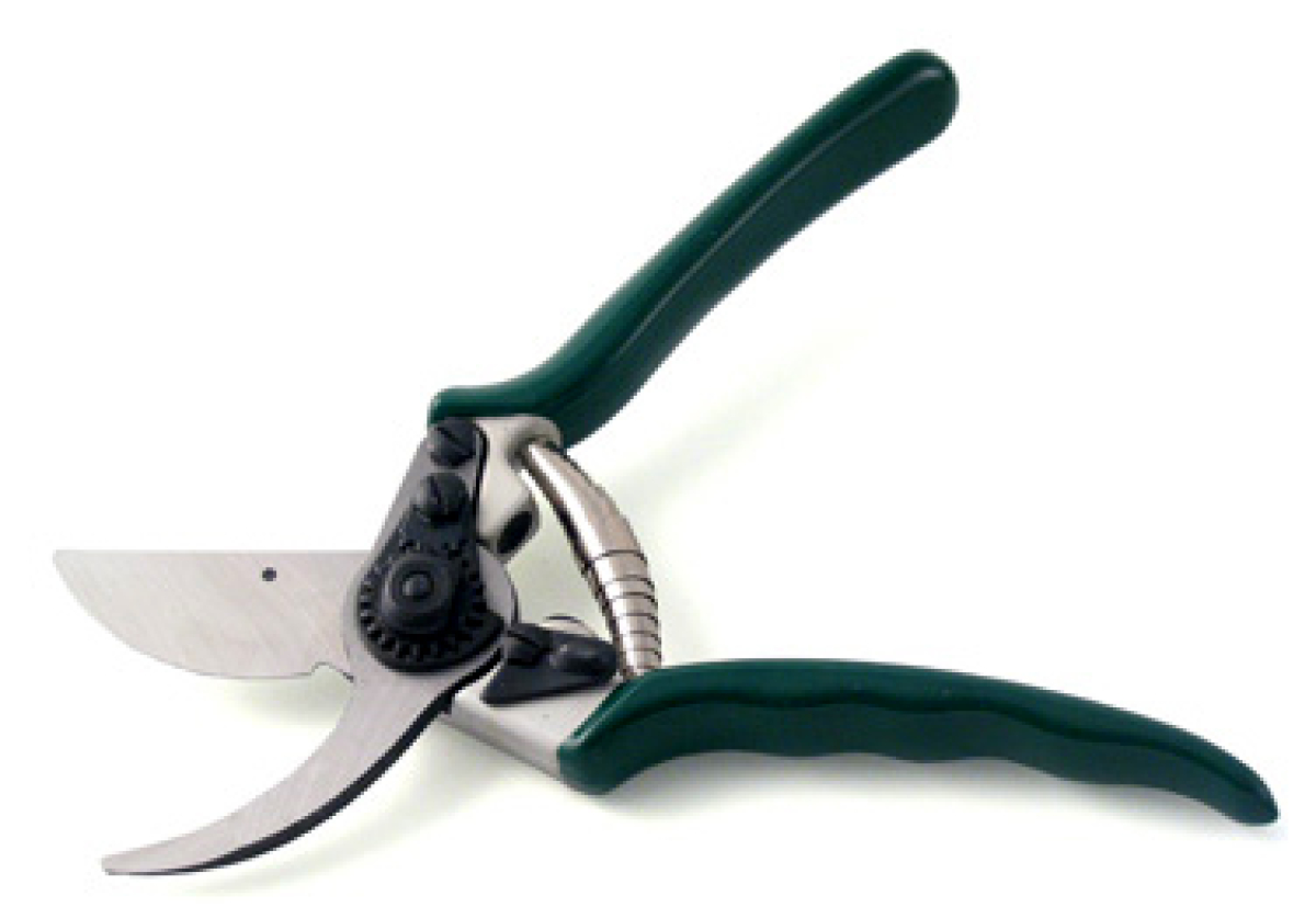 Professional Bypass Secateur