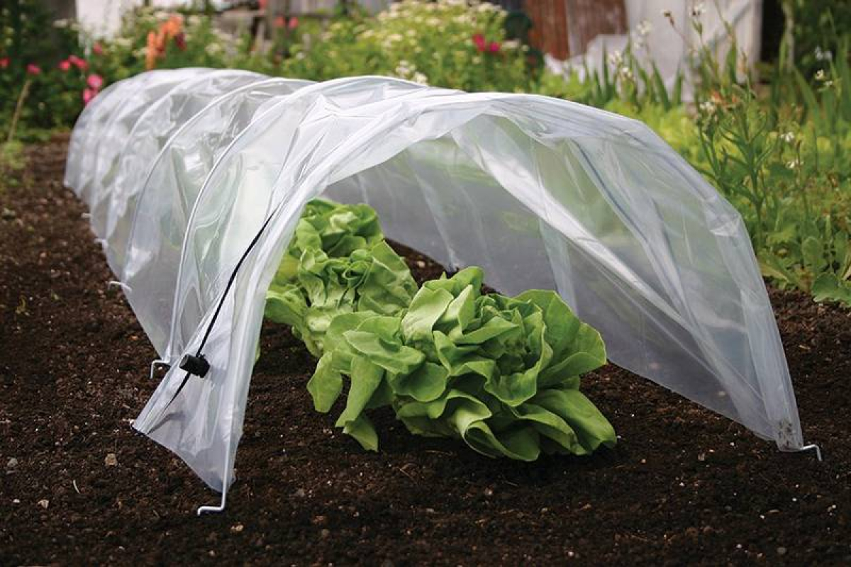Easy Poly Tunnel