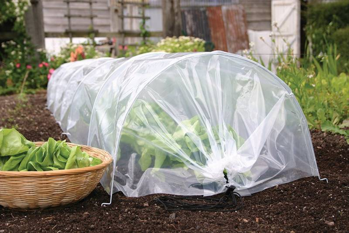 Easy Poly Tunnel