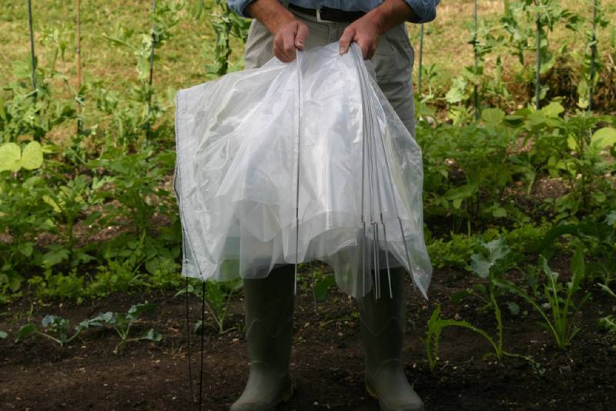 Easy Poly Tunnel