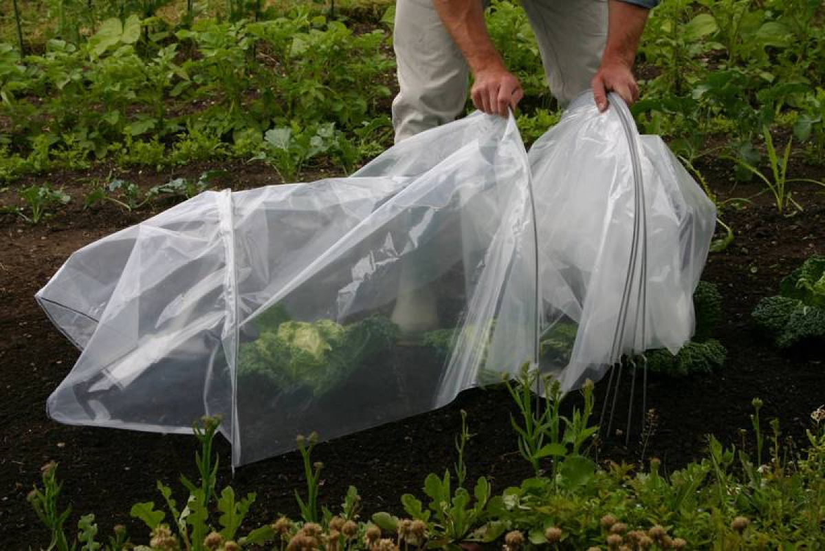 Easy Poly Tunnel