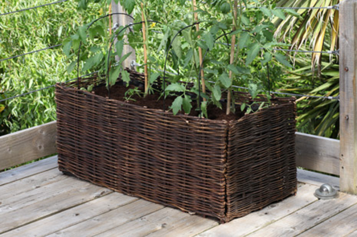 Stützdrähte für Veg & Tomato Planter