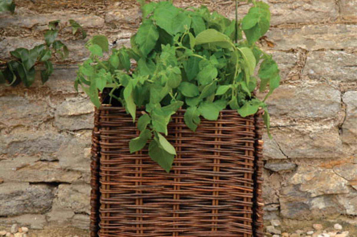 Potato Planter