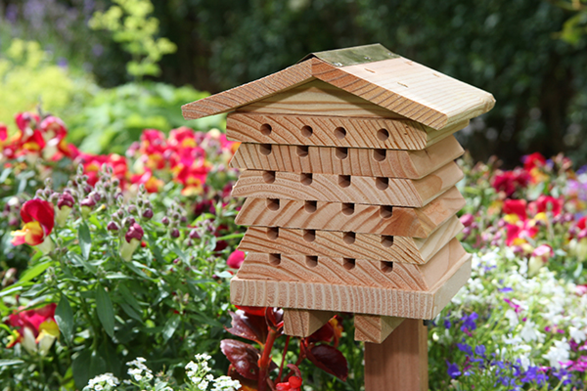 Solitary Bee Hive