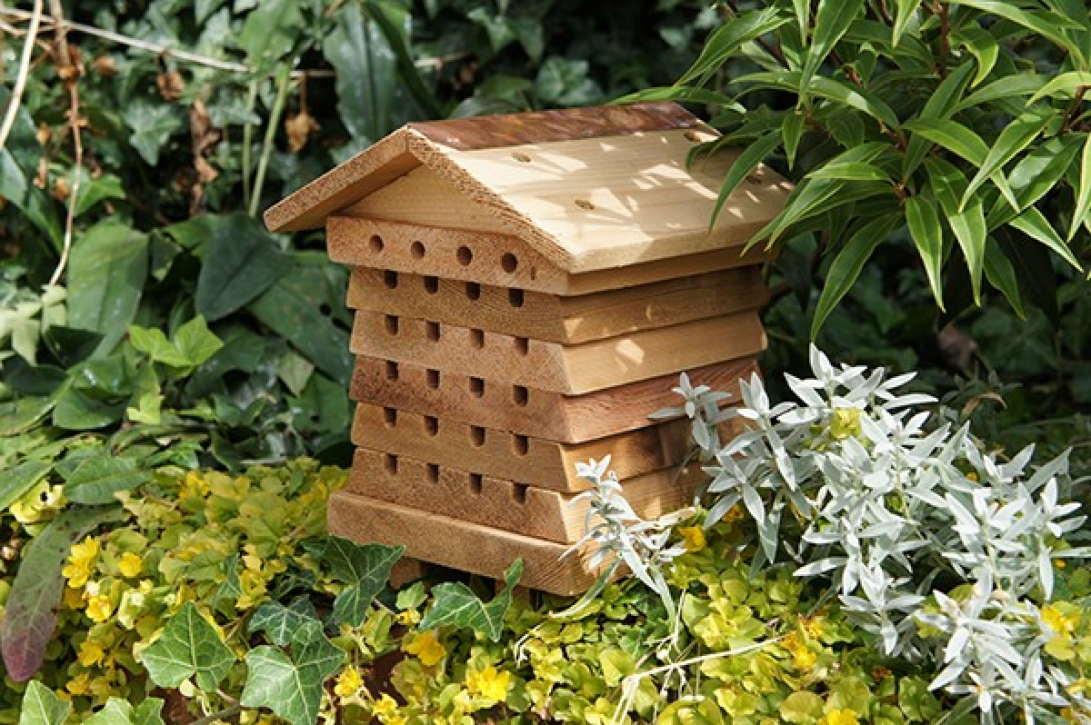 Solitary Bee Hive